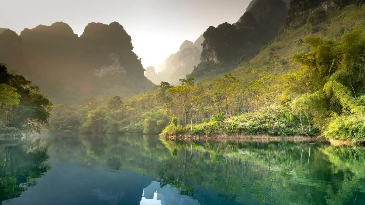 高标准先进